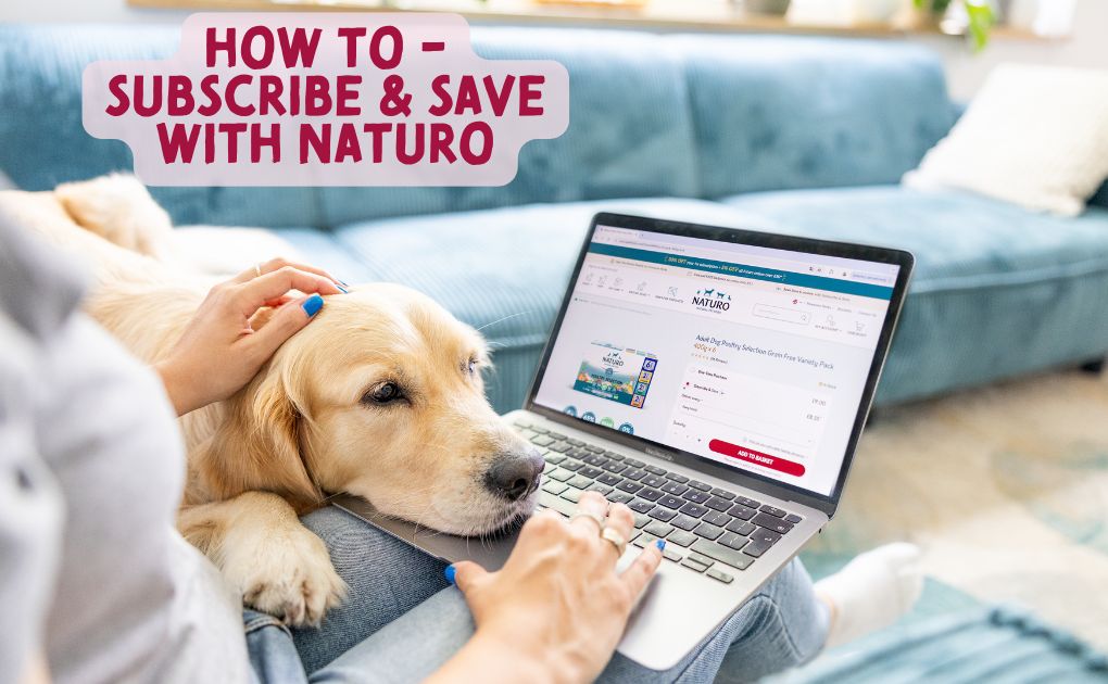 Discover the Convenience of Naturo Natural Pet Foods' Online Subscription Service